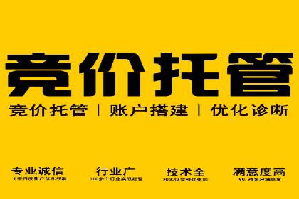 跨境贸易中信息流代理的挑战与应对策略